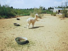 -恩格贝生态旅游区