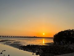 -宝安西湾红树林湿地公园