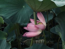 -大望京儿童游乐场