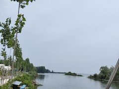-滕州微山湖红荷湿地景区