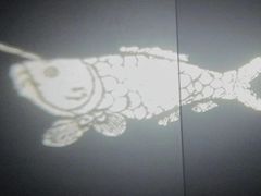 -白鹤梁水下博物馆
