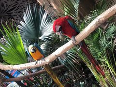 -杭州开元森泊度假乐园