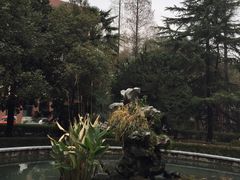 -上海科学技术职业学院