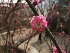 -北京鹫峰国家森林公园