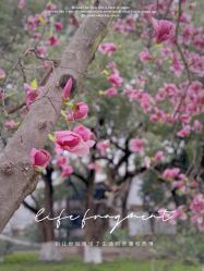 -玄武湖景区-情侣园游乐场