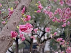 -玄武湖景区-情侣园游乐场