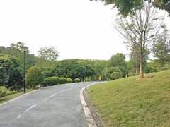 -东莞植物园