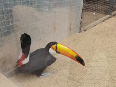 -大连森林动物园