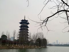 -洋湖国家湿地公园