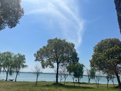 -漕湖湿地公园