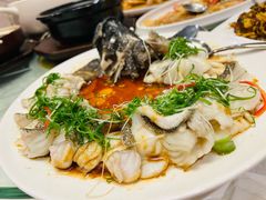 古法盘龙蒸石斑鱼-莲苑中餐厅·Lotus Court(厦门马哥孛罗东方大酒店)