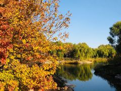 -大兴滨河森林公园