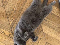 -Me Coffee下午茶艺术空间