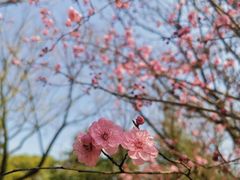 -白塘生态植物园