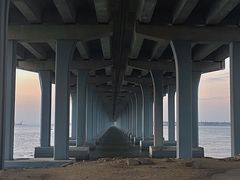 -宝安西湾红树林湿地公园