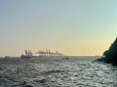 -平湖九龙山旅游度假区