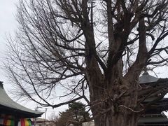 -医王山·飞騨国分寺