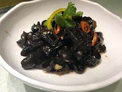 -宝燕壹号(徐汇店)