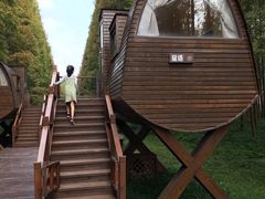 -黄海国家森林公园