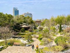 -上海吴淞炮台湾国家湿地公园