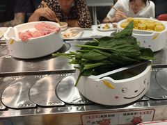 -龍歌自助小火锅(芝罘万达店)