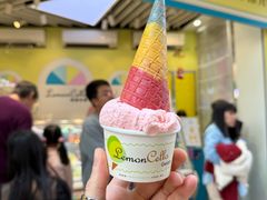 -柠檬车露(卖草地店)