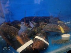 -渡海小渔村.老辈日照菜
