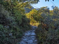 -阳台山自然风景区