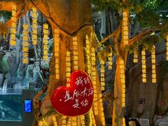 -福州罗源湾海洋世界旅游区