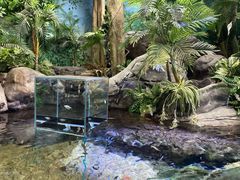 -上海海洋水族馆