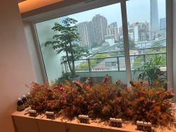 -芳香乐府疗愈空间·SPA·冥想