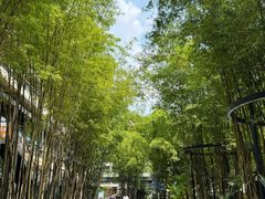 -拾光与烟火丨炭火串烧·自贡小活鲜(西村大院店)