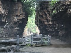 -齐王寨景区
