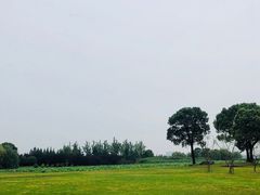 -苏州金鸡湖大酒店