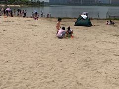-九龙湖公园
