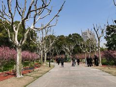-黄兴公园