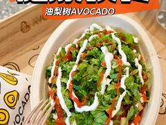 -油梨树AVOCADO TREE(嘉里中心店)