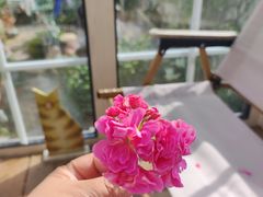 -三仟津花园咖啡馆