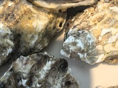 -映像威海·威海宴(威高广场店)