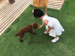 -萌宠亲子动物乐园(槐房万达店)