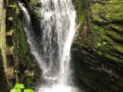 -牛背梁国家森林公园