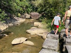 -广州白江湖森林公园