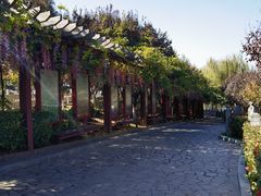 -西安汉城湖景区