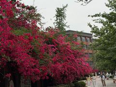 -蓉城阳光推拿馆(新华公园店)