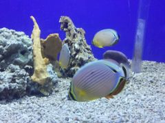 -常州海昌海洋探索馆