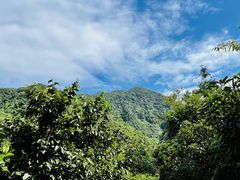 -梧桐山风景名胜区