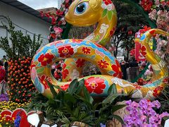 -越秀西湖花市(广州城市广场花卉店)
