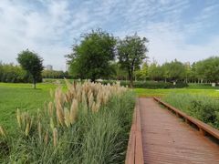 -汉长安城未央宫国家考古遗址公园