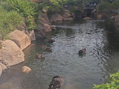 -罗红摄影艺术馆