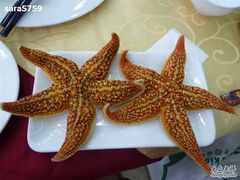 清蒸海星-海岛渔村大酒店(云霄路店)